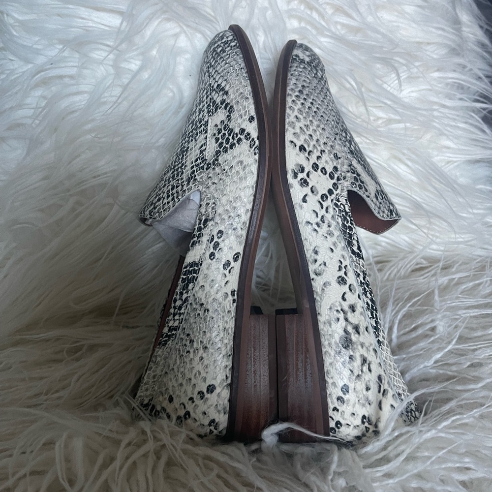 Chelsea & Violet Shoes - Picture 4 of 9